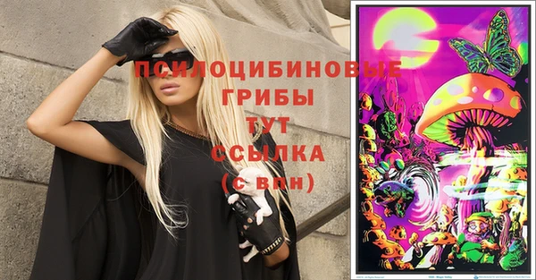 МДПВ Белокуриха