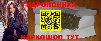 прущие грибы Кулебаки